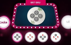 Hướng dẫn cách chơi Xóc Đĩa đơn giản, dễ chơi và dễ trúng