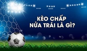 Kèo chấp 0.5 là gì? Cách đọc và kinh nghiệm soi hiệu quả 8 Kèo chấp 0.5 là gì? Cách đọc và kinh nghiệm soi hiệu quả